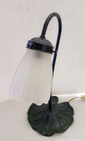 Full view of lamp with gooseneck arm and frosted tulip-shaped glass shade.