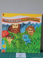 Front cover of The Beach Boys Endless Summer vinyl LP album showing colorful illustrated faces of the band members and tropical flora.