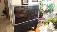 Full view of the large 46-inch Hitachi CRT television in a home setting with surrounding plants and furniture.