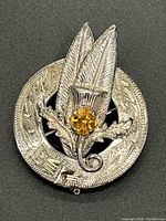 Front side of the brooch showing the circular design with engraved leaves, thistle motif with two large leaves, and central citrine stone.