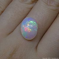 Oval cabochon cut opal gemstone showing multicolor play of color on a white base, displayed on a hand.