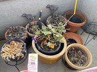 Photo showing multiple pots and planters placed on a concrete balcony floor, with dried plants and soil in most containers. Includes plant supports and a broom handle in one pot.