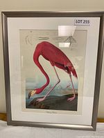 Framed flamingo print artwork showing the entire bird and part of the frame, labeled LOT 255.