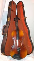 Full view of the violin inside the open hard case showing the violin body, strings, and case interior.