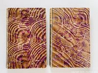 Front covers of both volumes showing marbled beige and purple patterned covers with some wear.
