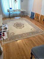 Full view of rug in room showing overall size and design