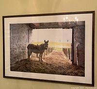 Full view of the framed photograph of a donkey in a barnyard hanging on a wall.