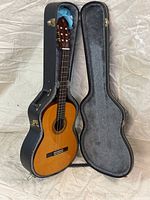 Open case showing guitar body and case interior