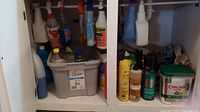 Photo showing inside a cabinet with multiple plastic bottles of cleaning products including Windex, two plastic bins with various items, sprays, and aerosol cans.