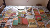 Photo of all books and comics spread on bed, showing titles and condition
