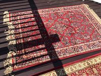 Full view of the rug showing the pattern, colors, and fringed edges.