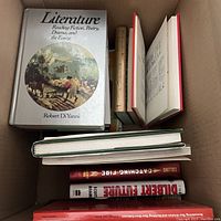 Top view of books including Literature by Robert DiYanni, Dilbert Future by Scott Adams, and others in a box.