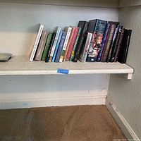Shelf with 16 assorted books