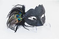 Black ladies masquerade mask with silver design featuring black and peacock feathers.