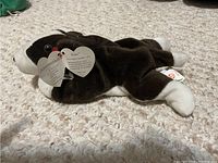 Side view of brown and white Beanie Baby Bruno plush dog lying on carpet with original Ty heart-shaped tags attached.