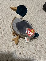 Side view of TY Beanie Baby "Jake" duck plush toy on carpeted floor, showing plush colors, fabric, and original tags.