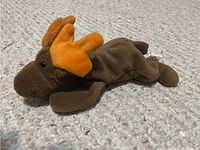 Moose Beanie Baby plush without heart tags, lying on carpeted floor.