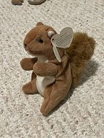 Close-up photograph of Ty Beanie Baby named Nuts, showing brown and white squirrel plush with original Ty heart-shaped tag.