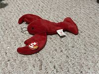 Red Ty Beanie Baby lobster plush, Pinchers, lying on carpet with original tag visible.