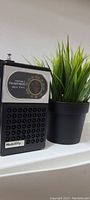 Front view of the black Nobility portable pocket transistor radio with speaker grille and tuning dial near a small plant.