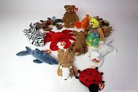 Group shot of all 12 vintage Beanie Babies, arranged in circle with tags visible