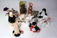 Full view of all 12 Beanie Babies including the black bear in case and kangaroo with joey