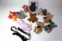 Wide shot of all 12 Beanie Babies including purple bear in display case, various animals such as bat, rooster, elephant, zebra, moose, and others.