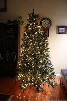 Full view of the 7 foot tall green pre-lit Christmas tree with lights on, showing shape, fullness, and illumination effect.