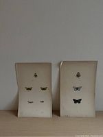 Two antique prints of butterflies and caterpillars on aged paper, showing curling and discoloration.