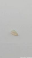 Natural pear-shaped cabochon Ethiopian opal resting on a white surface, showing translucency and light play.
