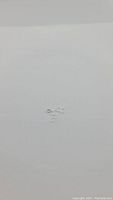 Six small oval cut clear natural petalite gemstones placed on a white background. Multiple angles show faceting and clarity.