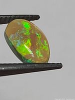Close-up image showing one oval-shaped natural untreated black opal with green fluorescent flashes held by gemstone tweezers.