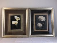 Two framed floral art prints by Andrea Trivelli featuring white flowers on black backgrounds, side by side.