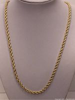 Full 24-inch rope chain displayed on necklace bust