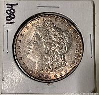 Obverse of 1884 Morgan silver dollar showing Liberty's profile and date 1884, mounted in cardboard coin holder