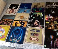 Top view of 20 vinyl albums laid out on bed showing cover art and titles