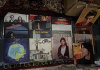 Top-down photo showing 16 vintage rock vinyl LP records arranged on carpet. Album covers feature notable classic rock artists including Doobie Brothers, Warren Zevon, Boston, Eric Clapton, Creedence Clearwater Revival, and others. Good to excellent condition noted.