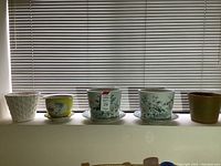 All five planters lined up on windowsill