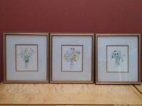 Shows the set of three framed floral prints by Mary Lou Goertzen arranged side by side on a wooden surface against a red background.