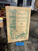 Front cover of the book showing title, subtitle, author, and illustration of trees.