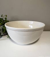 Front view of the white ceramic farmhouse bowl on white surface with plant in background, showing full exterior shape and size.