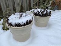 Two off-white ceramic planters outdoors in snow with dried plants inside, next to wooden fence and garden statue.