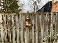 Four hanging garden ornaments displayed on outdoor wooden fence. Two rusted metal sun disk wall hangings, two metal shelves with ceramic yellow and green chicken figures.