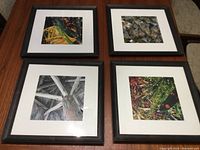 Set of 4 square black frames with white mats on a wooden table, each containing a different plant photo print showing various plant details and textures.