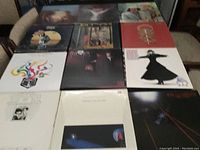 Top down view showing 12 vinyl album covers arranged in 3 rows of 4. Covers show photographic and illustrated art in varied colors and some signs of wear.