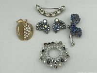 Photo showing six vintage rhinestone costume jewellery pieces: gold-tone apple brooch, silver-tone bar pin, blue and aurora borealis rhinestone clip-on earrings, blue rhinestone poodle brooch, and silver-tone round brooch with clear and black rhinestones.