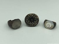 Three vintage shell rings displayed on a white surface showing different designs: smooth stone inset, engraved swirling oval face, and spiral shell inset.