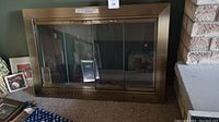 Full frontal view of the fireplace surround with both glass doors closed