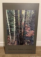 Poster featuring a dense forest scene with birch trees and autumn foliage mounted on MDF.