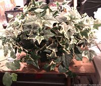 Large rectangular basket densely filled with six artificial ivy plants with variegated leaves.